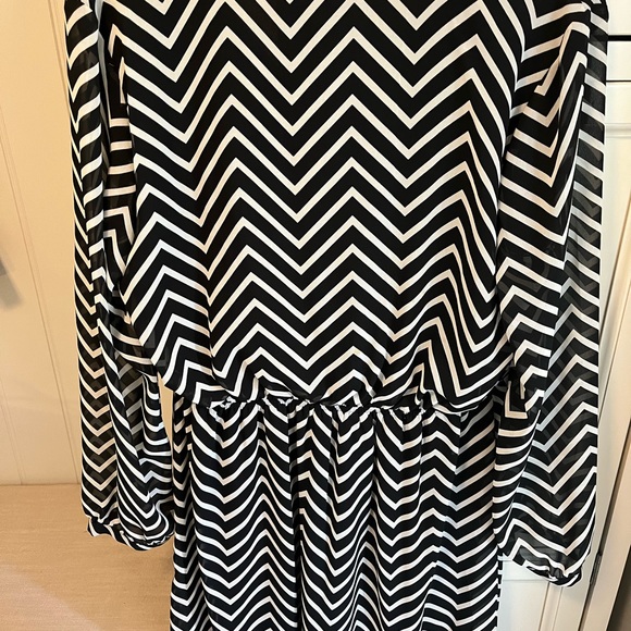 Express Dress - Picture 4 of 4